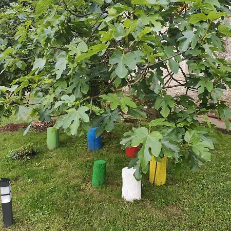 Xalet Resiu Seriñá