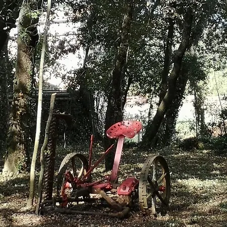 Resiu Chalé