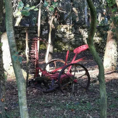 Resiu Chalé Seriñá