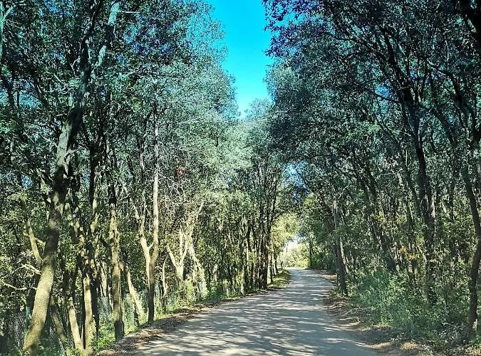Resiu Serinya
